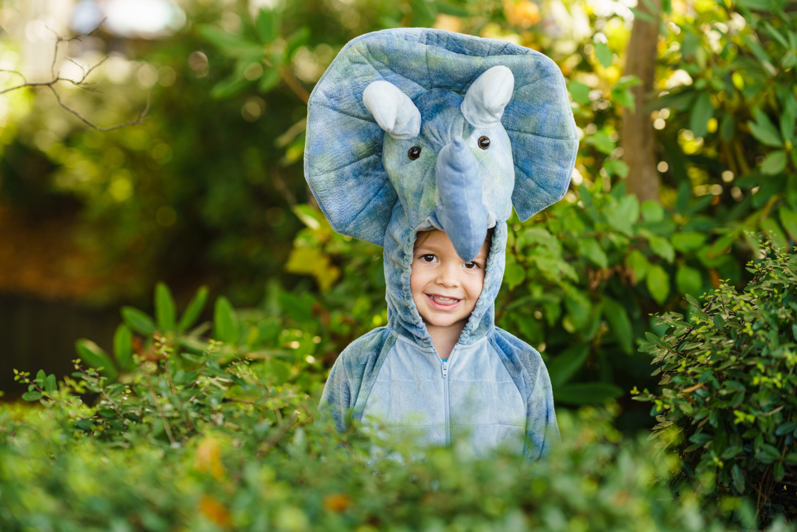 Dinosaur Triceratops fancy dress happy child