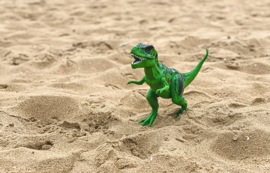 Stegosaurus-T-rex-toy-in-sand