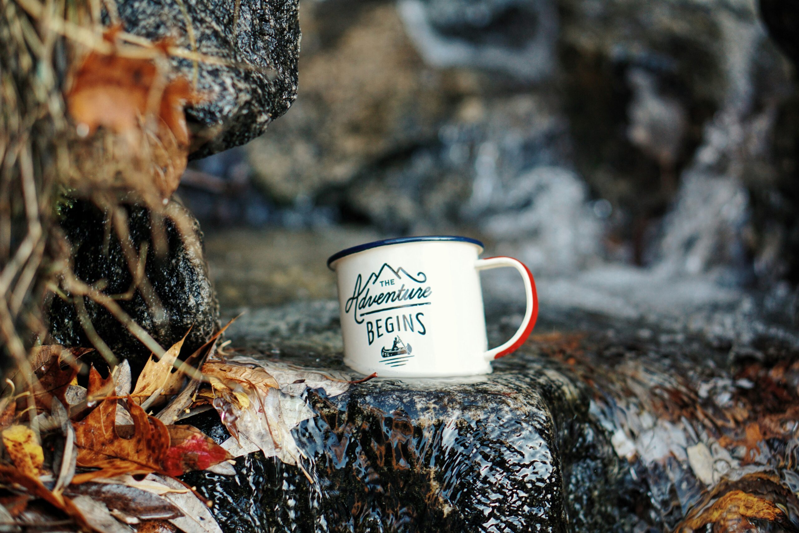 Unleash the adventure mug in stream