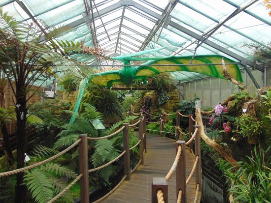 Manor Heath Park & Jungle Experience - StayPlay