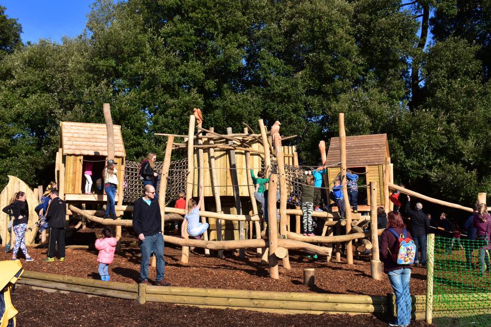 Upton country park christmas trees