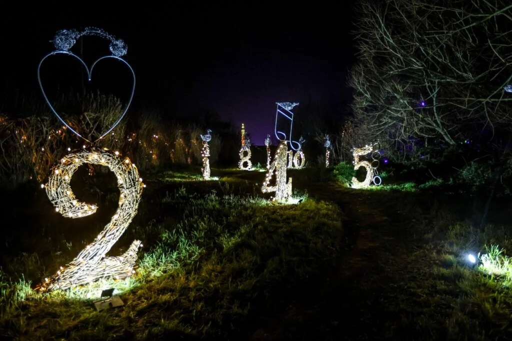 Avon Valley Adventure & Wildlife Park Christmas Nights StayPlay