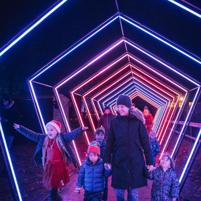 Avon Valley Adventure & Wildlife Park Christmas Nights StayPlay