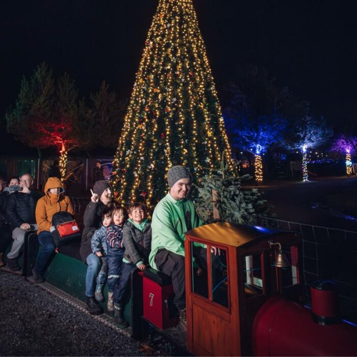 Avon Valley Adventure & Wildlife Park Christmas Nights StayPlay